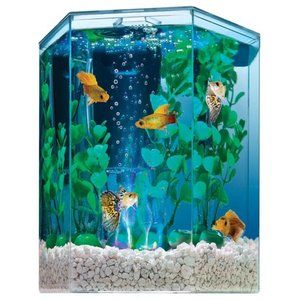 Tetra Bubbling LED Aquarium Kit 1 Gallon, Hexagon Shape, with Color-Changing